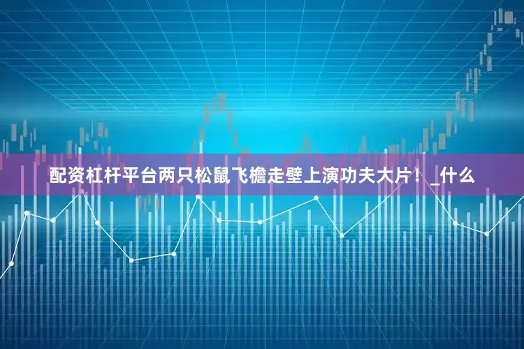 配资杠杆平台两只松鼠飞檐走壁上演功夫大片！_什么
