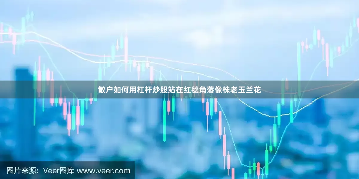 散户如何用杠杆炒股站在红毯角落像株老玉兰花