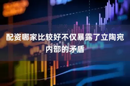 配资哪家比较好不仅暴露了立陶宛内部的矛盾