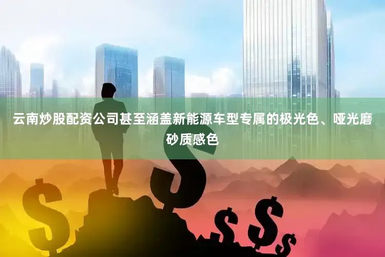 云南炒股配资公司甚至涵盖新能源车型专属的极光色、哑光磨砂质感色
