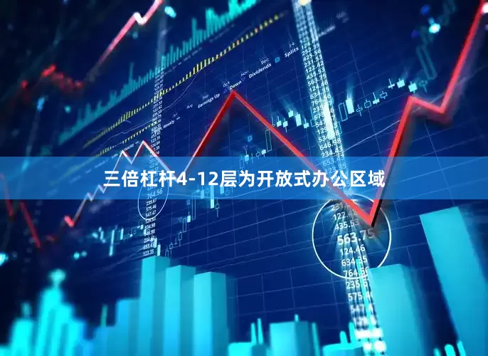 三倍杠杆4-12层为开放式办公区域