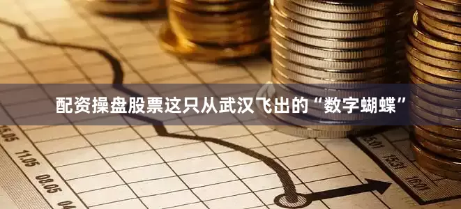 配资操盘股票这只从武汉飞出的“数字蝴蝶”