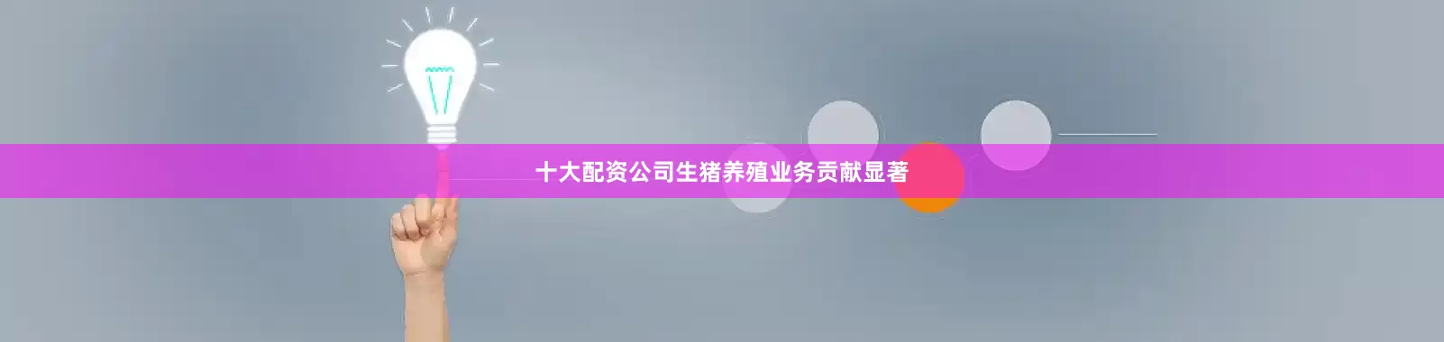 十大配资公司生猪养殖业务贡献显著