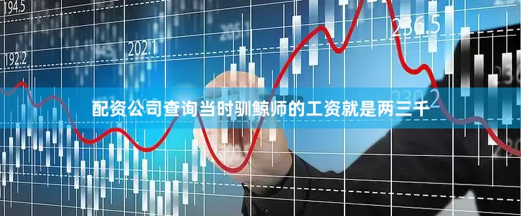 配资公司查询当时驯鲸师的工资就是两三千