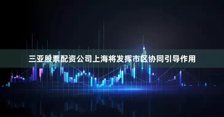 三亚股票配资公司上海将发挥市区协同引导作用