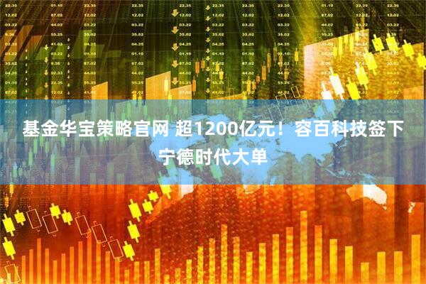 基金华宝策略官网 超1200亿元！容百科技签下宁德时代大单